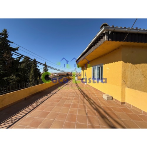 Terraza 